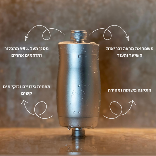 קפסולת סינון לראש מקלחת